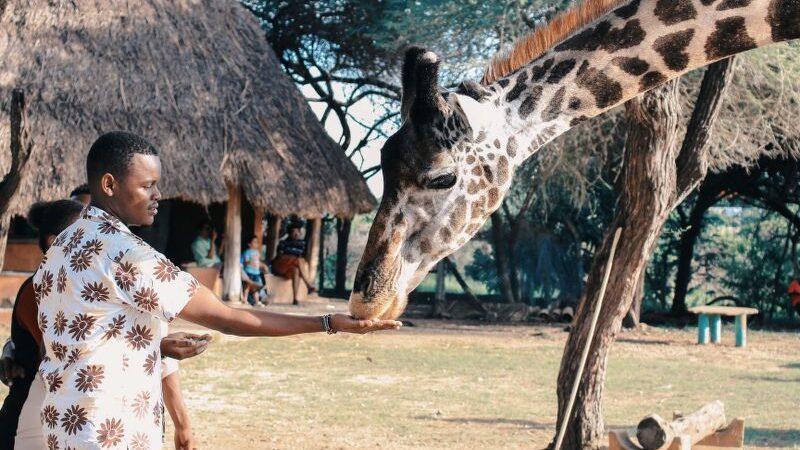 Luna di miele in Tanzania: come regalarsi un viaggio da sogno